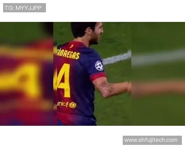 在绿茵场上与足球明星一决高下的热血青春故事